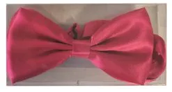 Vlinder Das Gala Feest Roze