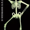 Skelet Decoratie, 90 Centimeter, Lichtgevend In Donker