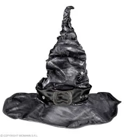 Hoge Punthoed Heks Met Spinnen